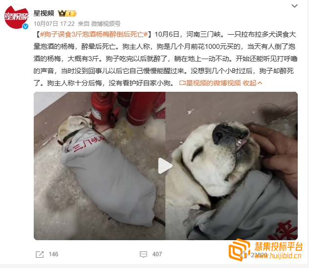 企业微信截图_16967552512673.png