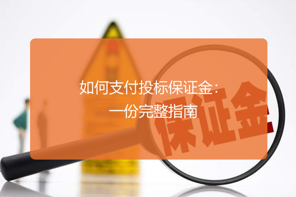 如何支付投标保证金：一份完整指南